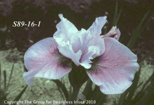 s89-16- 1 Reprise X MM.sc